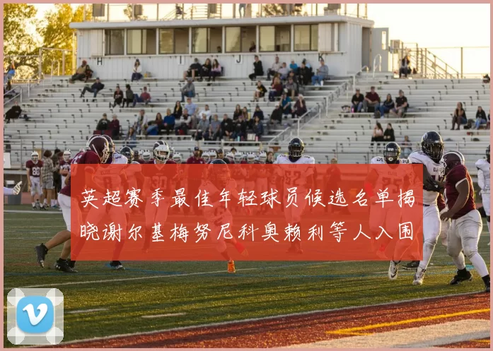 英超赛季最佳年轻球员候选名单揭晓谢尔基梅努尼科奥赖利等人入围
